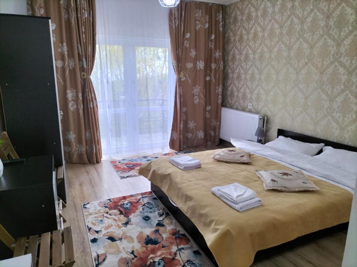 Отель Conacul Doamnei Nucsoara Экстерьер фото
