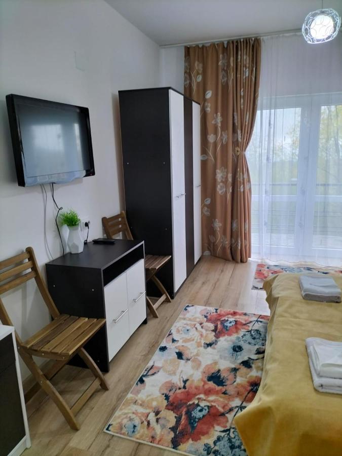 Отель Conacul Doamnei Nucsoara Экстерьер фото